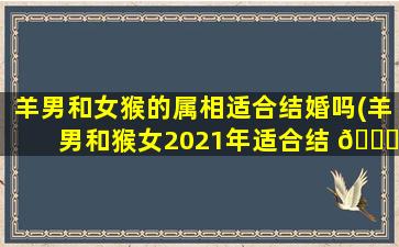 羊男和女猴的属相适合结婚吗(羊男和猴女2021年适合结 🐟 婚吗)